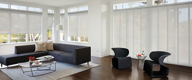 Hunter Douglas Vignette Duolite Shades