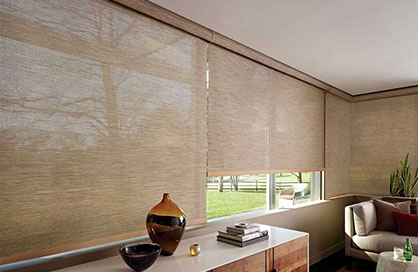 Hunter Douglas Duolite