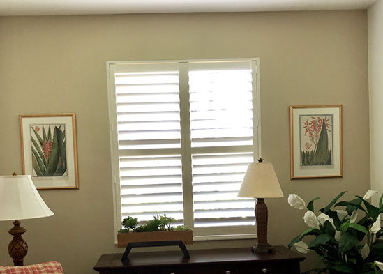 small den horizontal blind