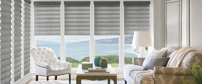 Hunter Douglas Vignette Modern Roman Shades