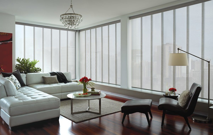 Hunter Douglas Shades